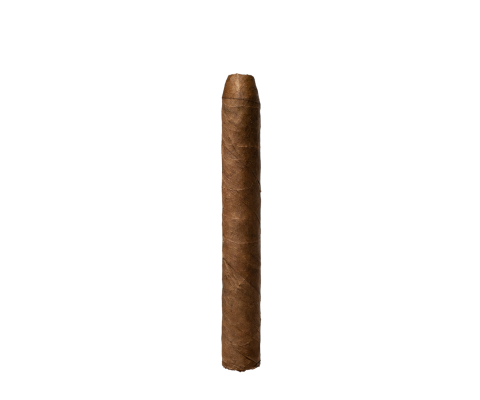 Dutch Petit Corona