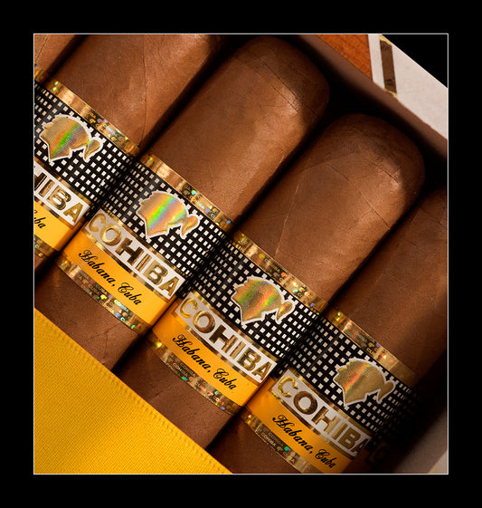 Cohiba Siglo VI