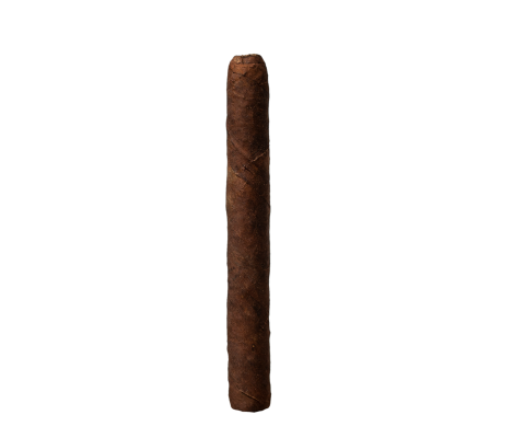 Dutch Corona