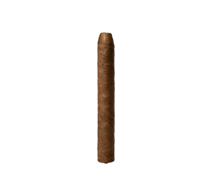 Dutch Petit Corona